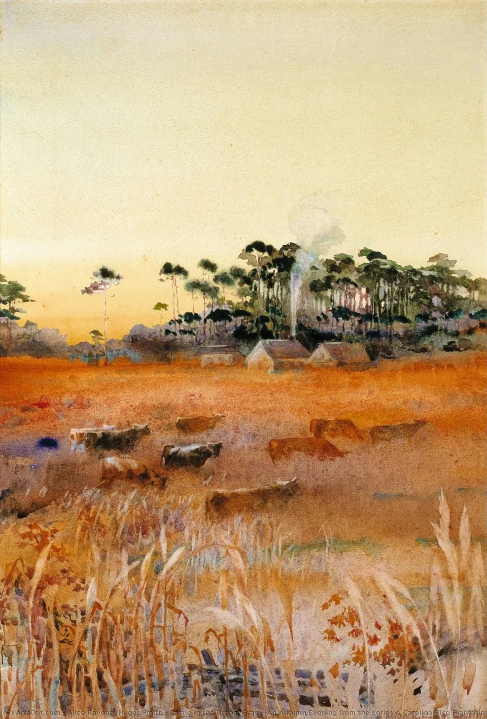 Cattle In The Broom Grass, An Autumn Evening From The Series A Carolina Rice Plantation Of The Fifties — Алис Равеналь Хьюджер Смит