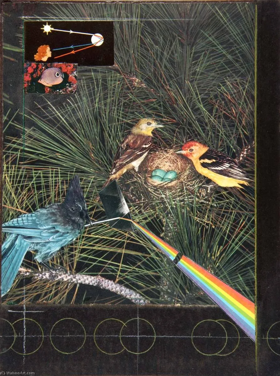 Untitled (how To Make A Rainbow, Two Multicolored Birds With Nest) — Джозеф Корнелл
