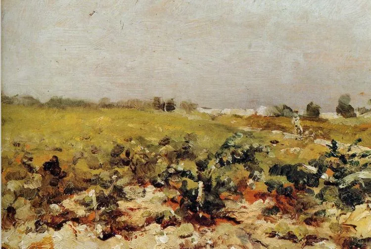 C Leyran View Of The Vignards — Comte Henri Marie Raymond De Toulouse-lautrec-monfa