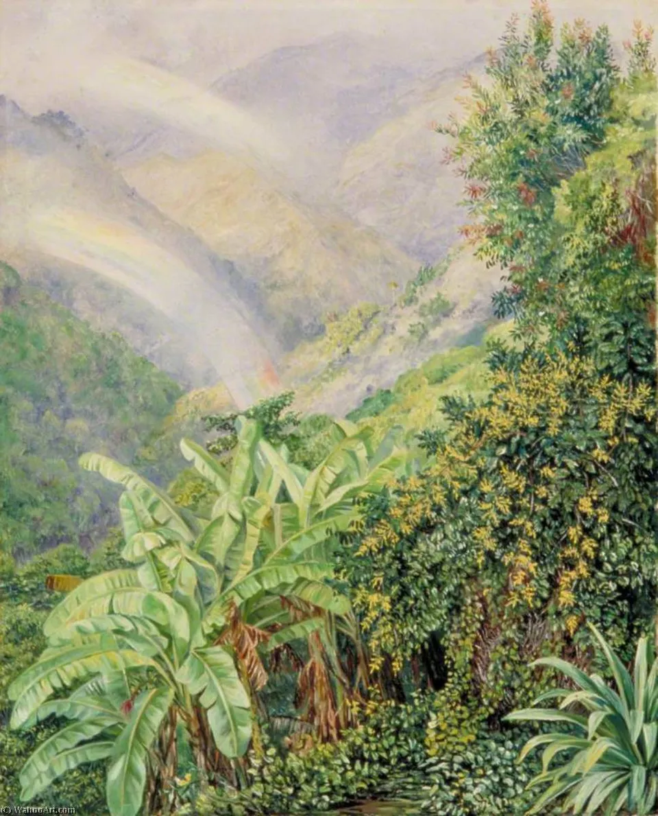 View Of The Artist's House In Jamaica With A Double Rainbow — Марианна Норт