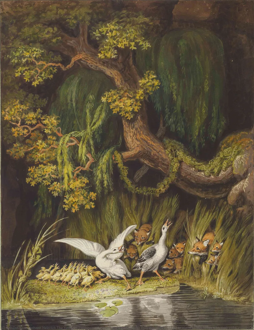 A Goose And A Gander With Their Goslings Honking In Alarm As Two Foxes With Their Cubs Emerge From The Rushes — Иоганн Генрих Тишбайн Младший