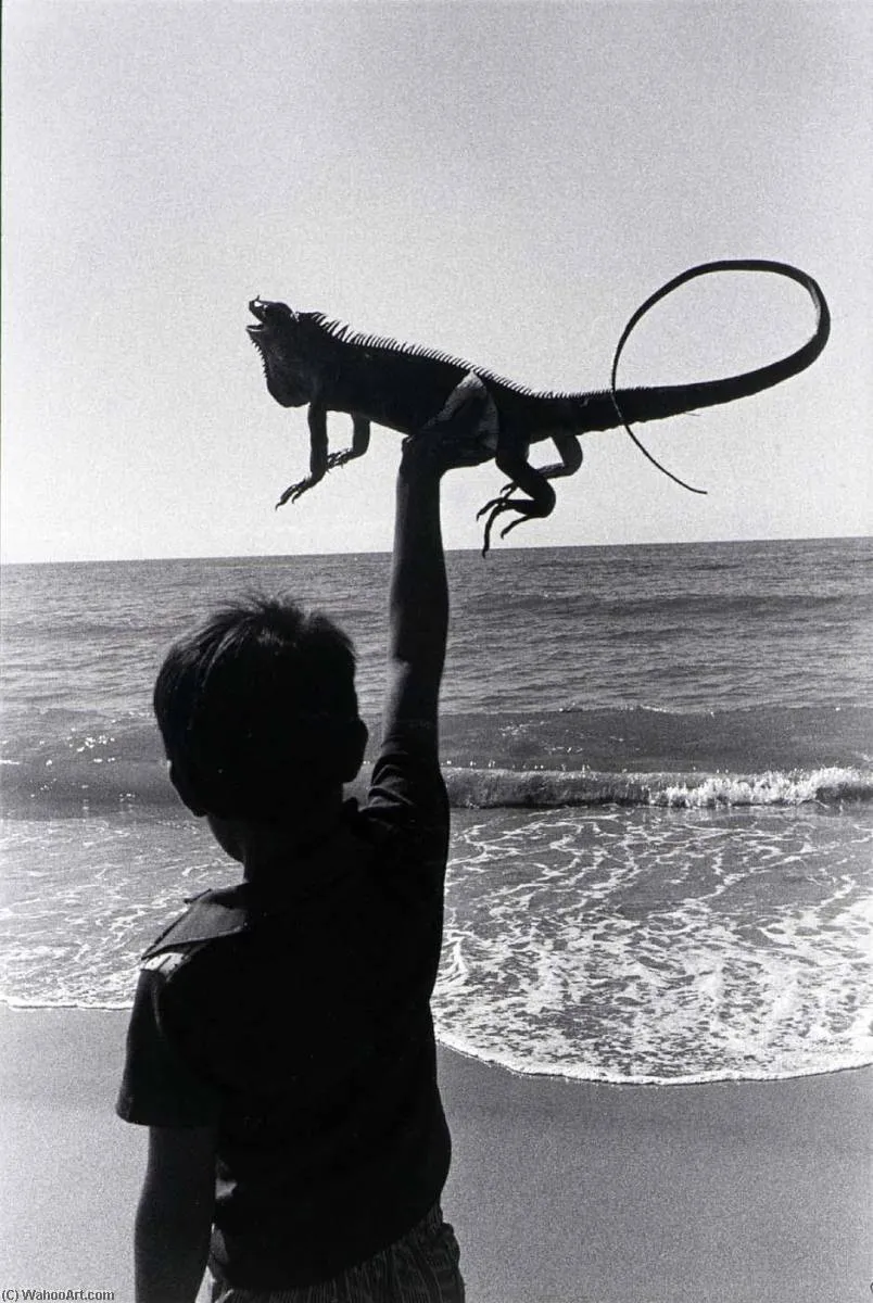 Untitled — Ira Norminsky