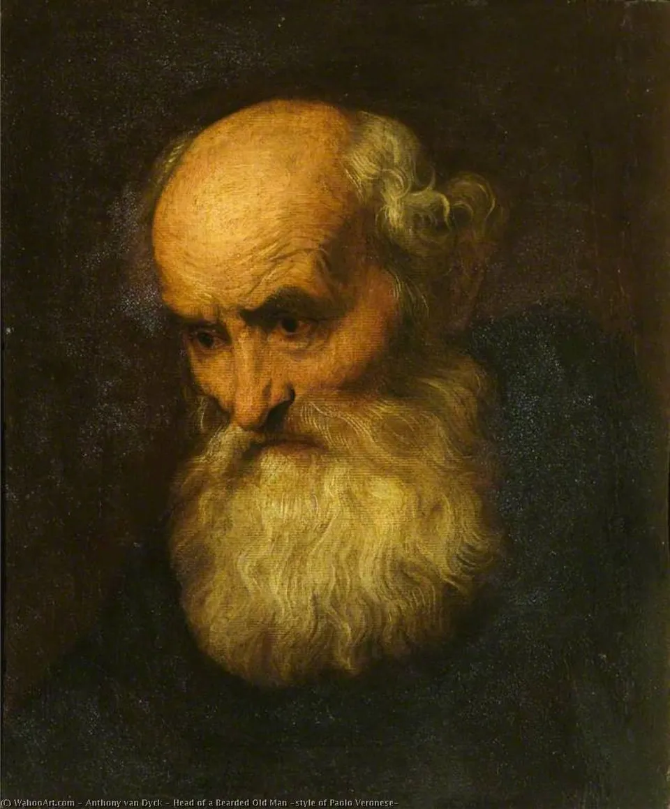 Head Of A Bearded Old Man (style Of Paolo Veronese) — Антоний Ван Дейк