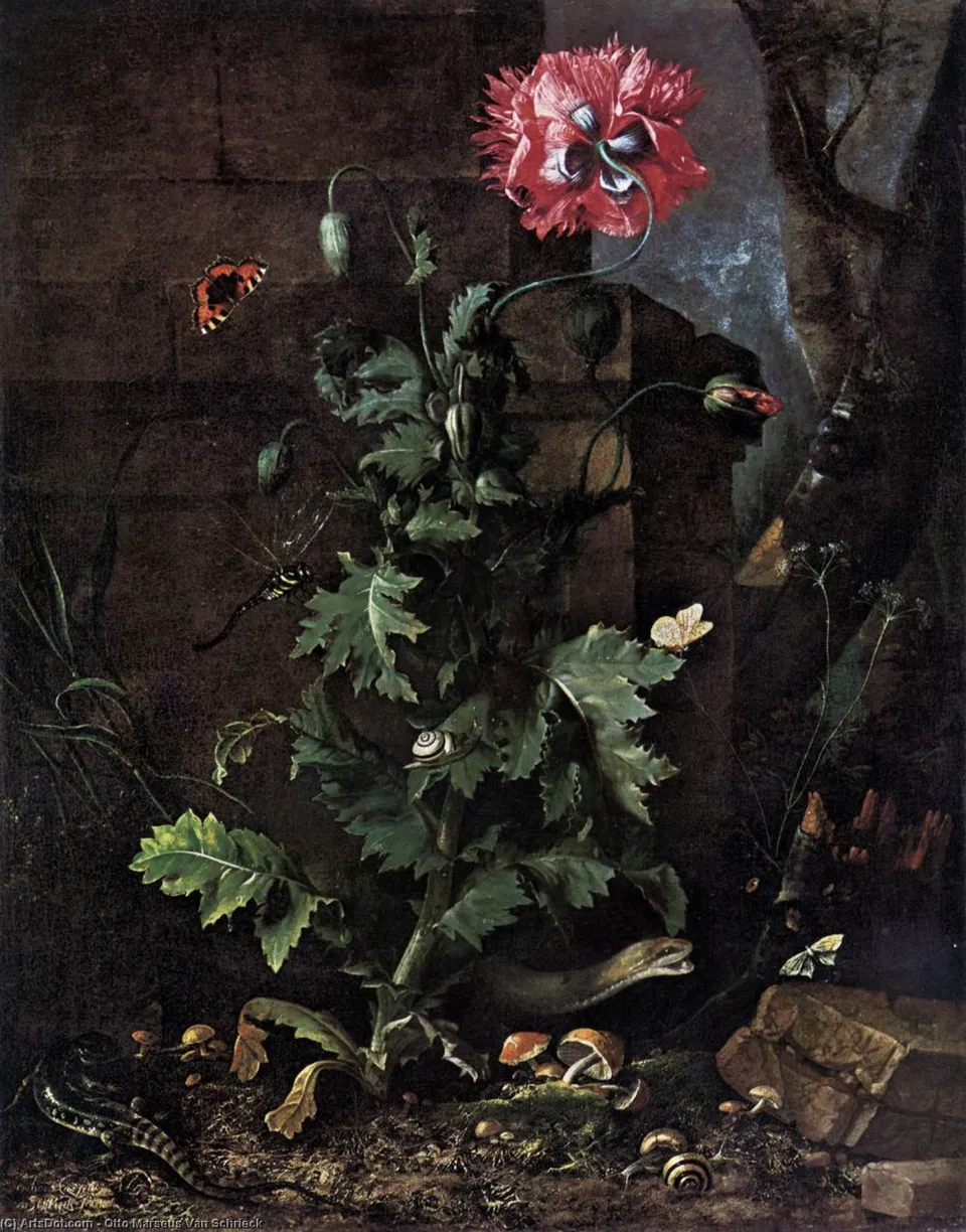 Still-life With Poppy, Insects, And Reptiles — Otto Marseus Van Schrieck