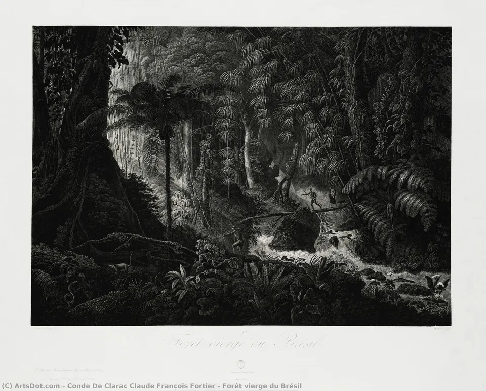 Forêt Vierge Du Brésil — Conde De Clarac Claude François Fortier