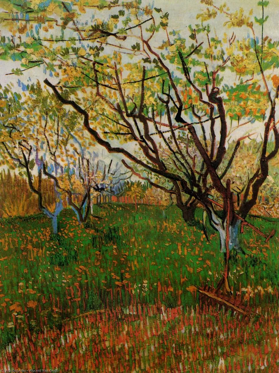 Орден Цветения — Vincent Willem Van Gogh