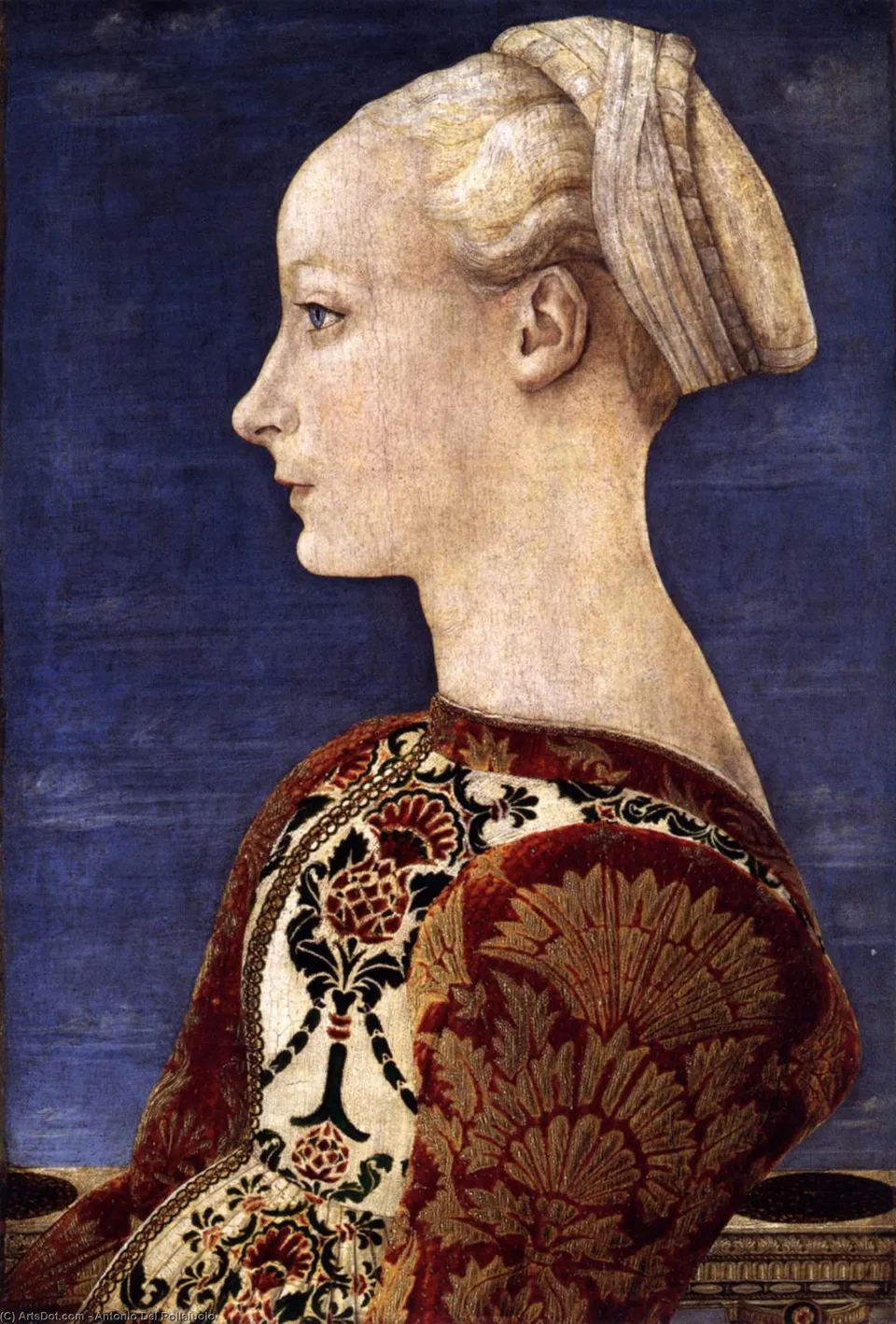 Portrait Of A Young Woman — Антонио Дель Полайуоло
