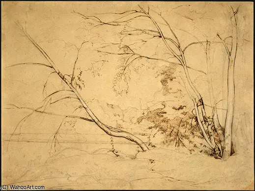 Clump Of Trees At Civita Castellana — Жан-батист Кёро