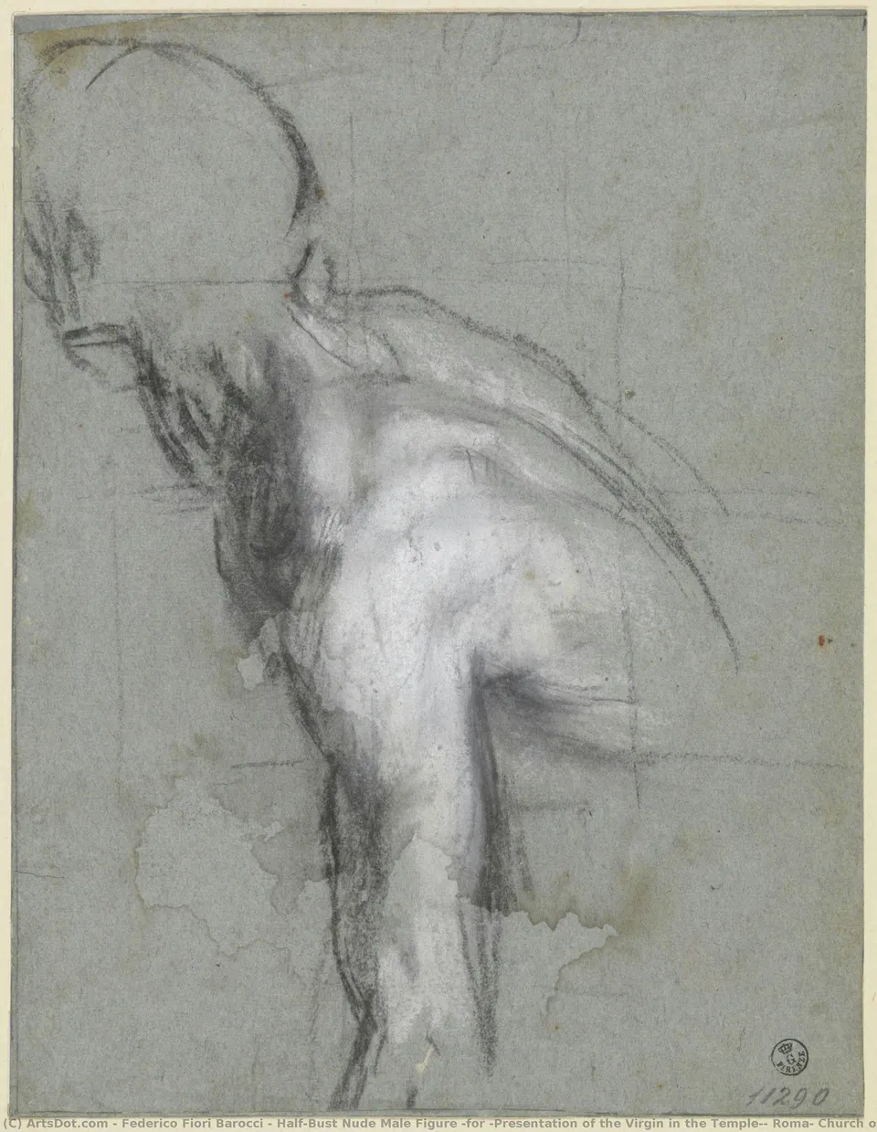 Half-bust Nude Male Figure (for “presentation Of The Virgin In The Temple”, Roma, Church Of Santa Maria In Vallicella) — Федерико Барокки