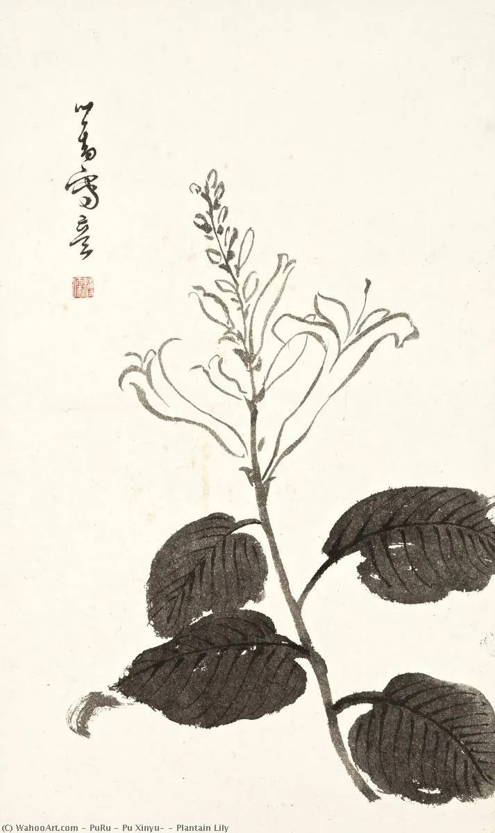Plantain Lily — Пу Жюньюй