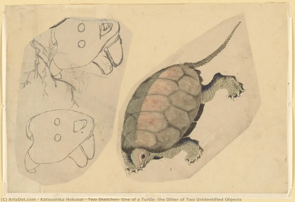 Two Sketches: One Of A Turtle, The Other Of Two Unidentified Objects — Кацусика Хокусай