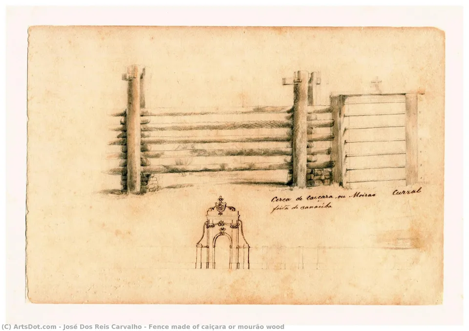 Fence Made Of Caiçara Or Mourão Wood — Žozé Dos Rejs Karvaljo