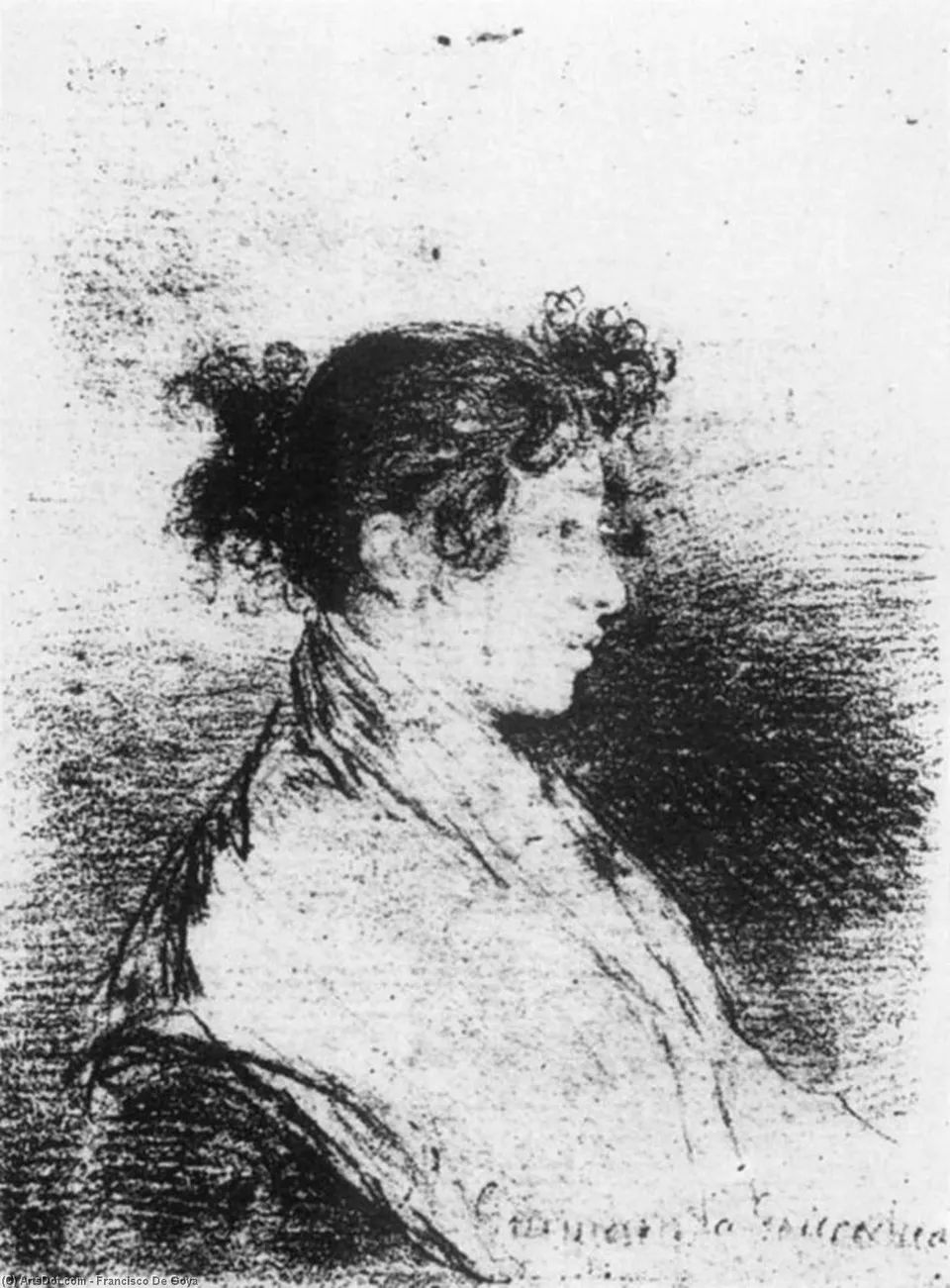 Gumersinda Goicoechea, Goya's Daughter In Law — Гойя