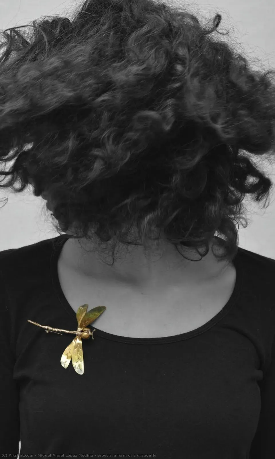 Brooch In Form Of A Dragonfly — Miguel Ángel López Medina