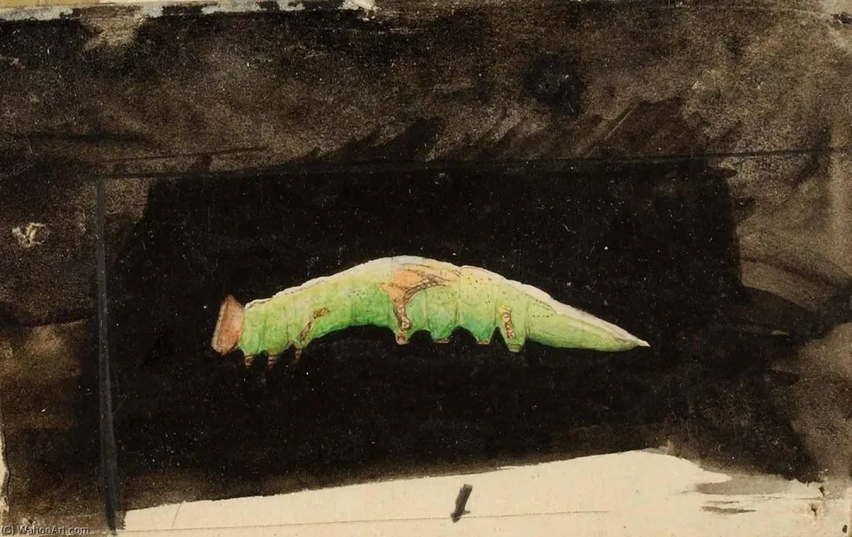 Larger Spotted Beach Leaf Edge Caterpillar, Study For Book Concealing Coloration In The Animal Kingdom — Emma Beach Thayer