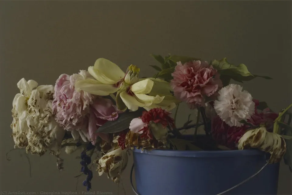 Faded Blooms — Georgina Hopton