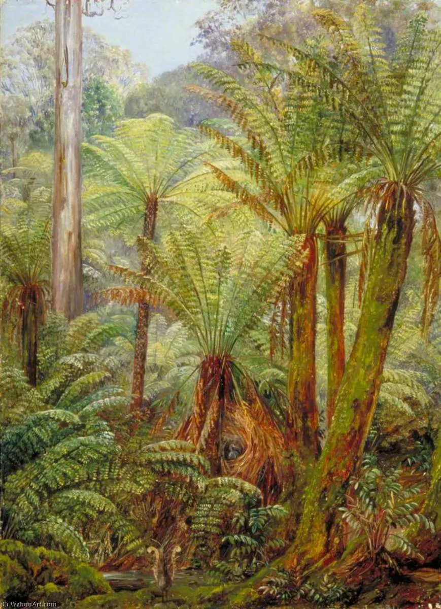 Tree Ferns In Victoria With A Nest Of The Lyre Bird — Марианна Норт