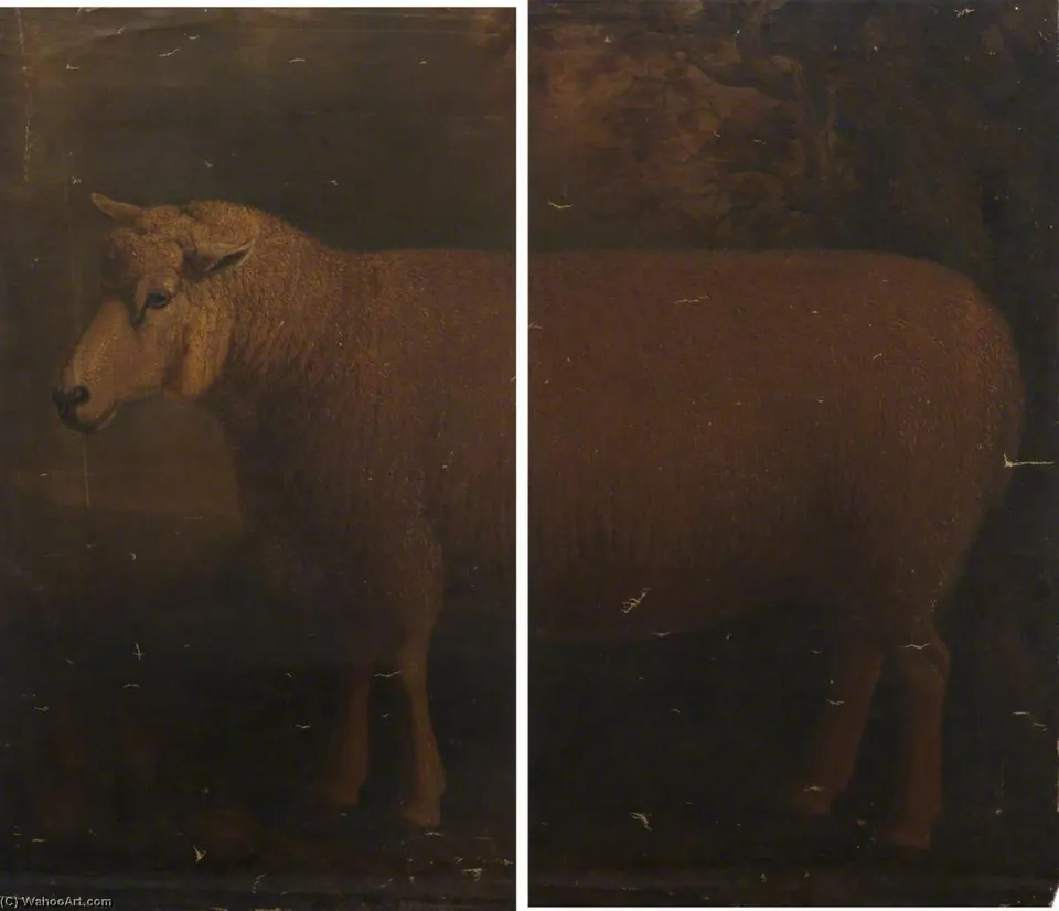 Cotswold Ram (diptych) — Уильям Шилс
