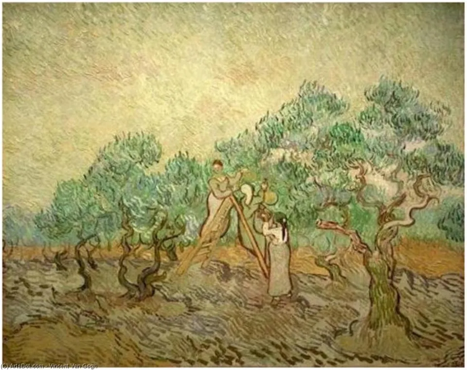 Оливковое Дерево 5 — Vincent Willem Van Gogh