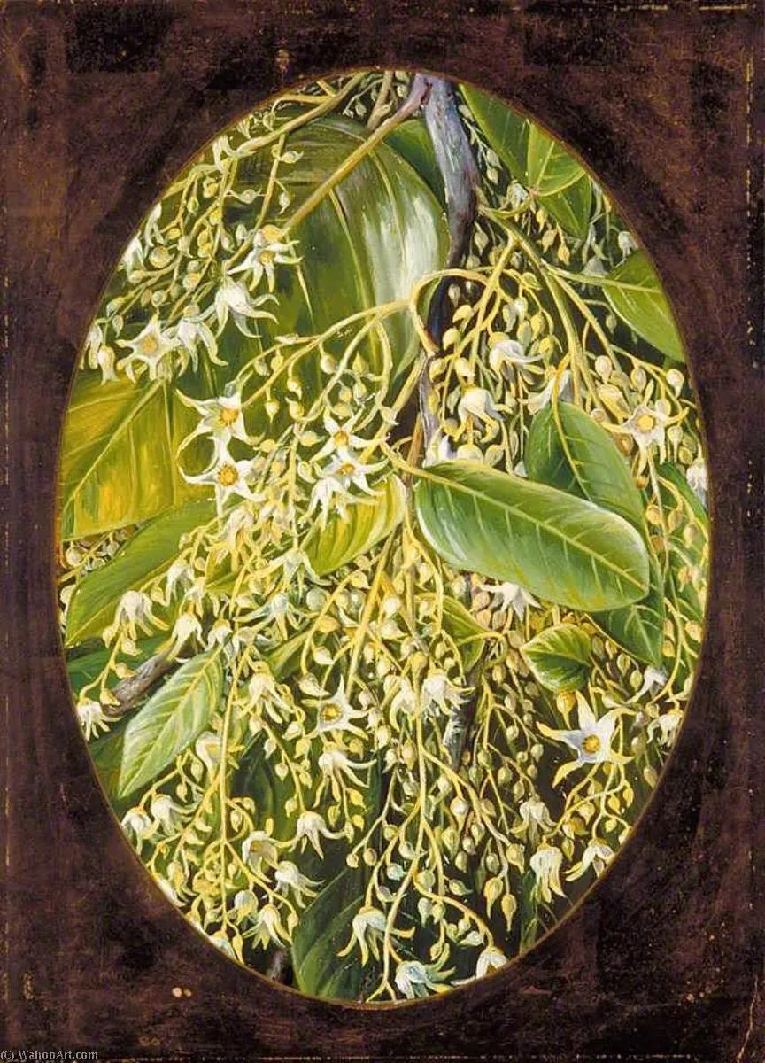 Flowers Of Sal — Марианна Норт