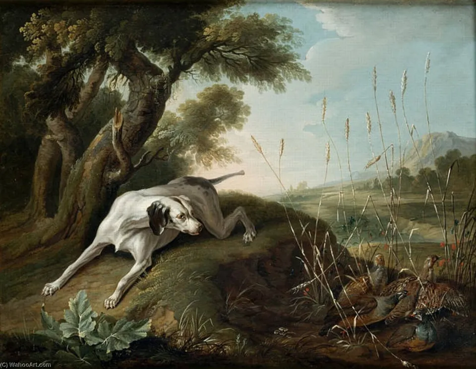Chien À L'arrêt Sur Des Perdrix — Christophe Huet
