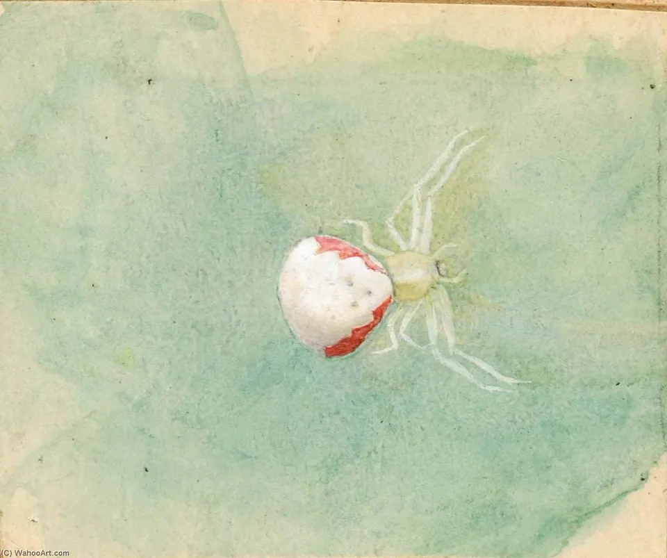 Porcelain White Spider — Emma Beach Thayer