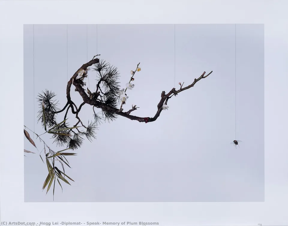 Speak, Memory Of Plum Blossoms — Hong Lei (diplomat)