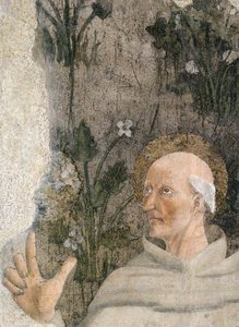 lorentino d'arezzo