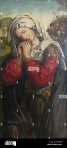 colijn de coter (colyn van brusele)