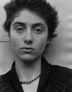 diane nemerov