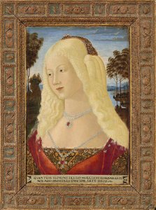 neroccio de landi