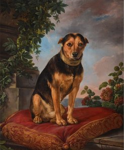 Henri van Assche