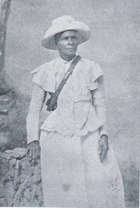 jose a. rosa castellanos