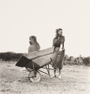 sonia l farley