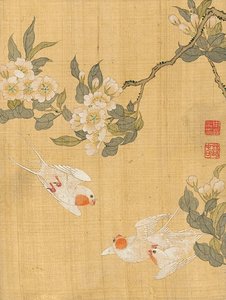 aechun, shin myeongyeon