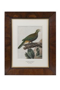 john william lewin