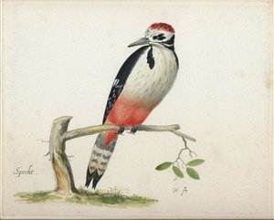 pieter the younger holsteyn
