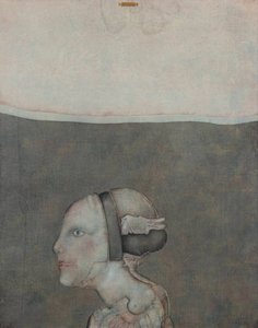 vilmore schenardi
