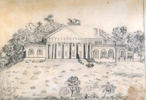 martha 'markie' custis williams