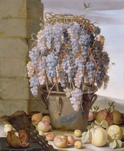 Luca Forte