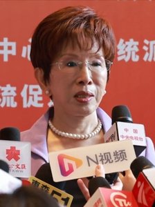 hung hsiu chu
