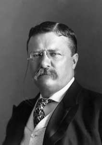 Davis Birks