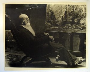 christopher high shearer
