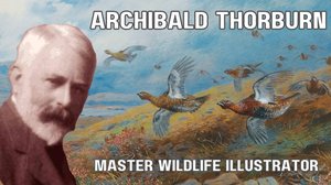 Archibald Thorburn