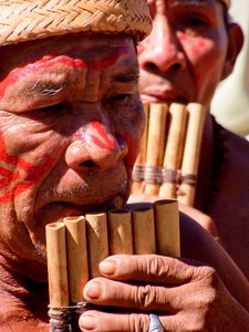 guahibo people