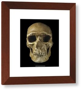 cranium, inc.