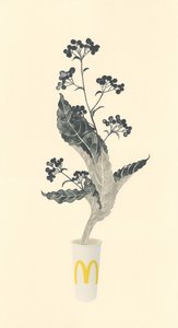 nam yoonmi