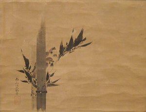 shōjō shōkadō