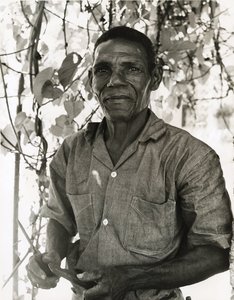 georges liautaud