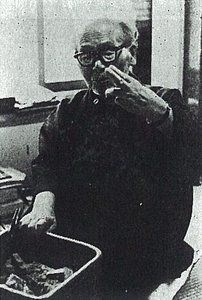 hiragushi denchū